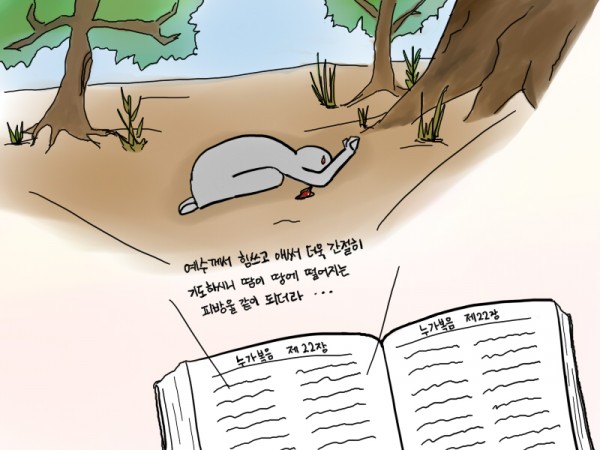 성경의 방식